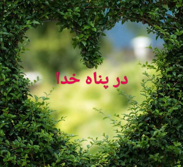 عکس شبتون در پناه خدا