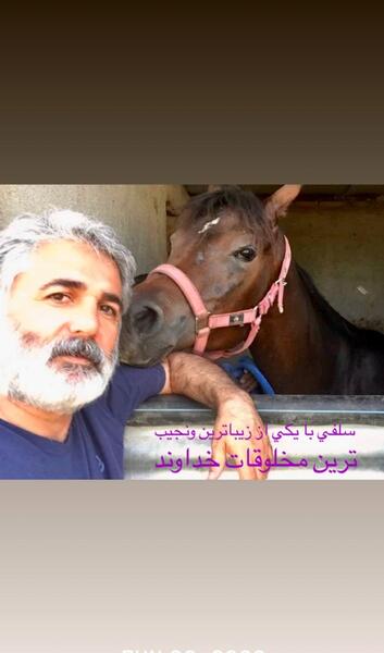 عکس اسب خدا
