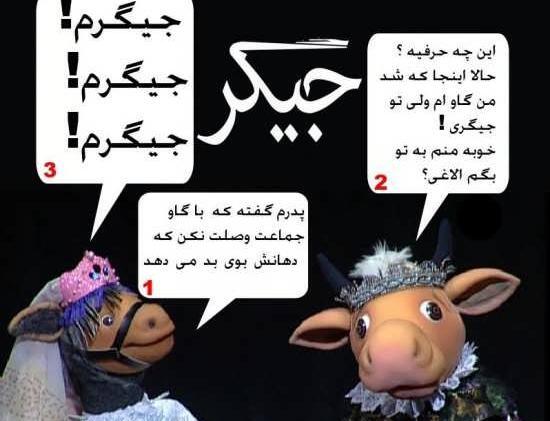 عکس باحال گاو