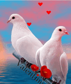 عکس پس زمینه شیک و باکلاس متحرک