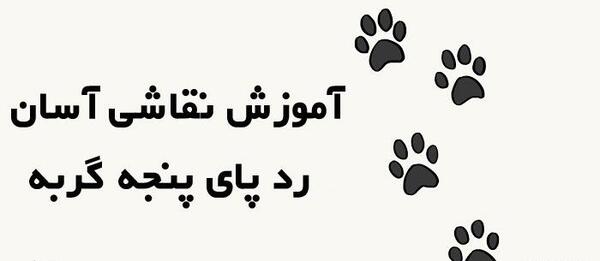 عکس پنجه گربه برای پروفایل