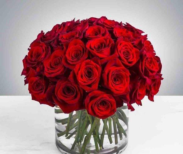 عکس سالگرد ازدواج دایی و زن دایی