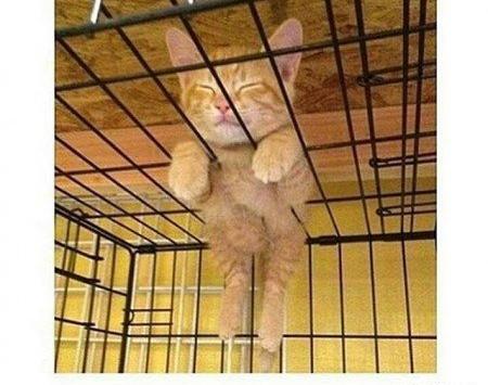 عکس باحال طنز