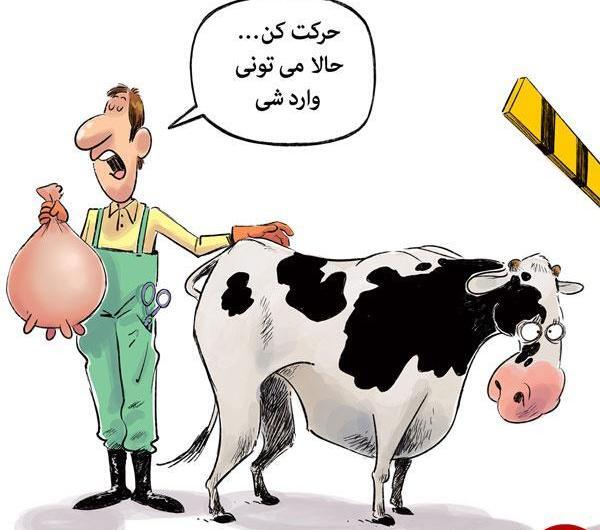 عکس گاو کارتون