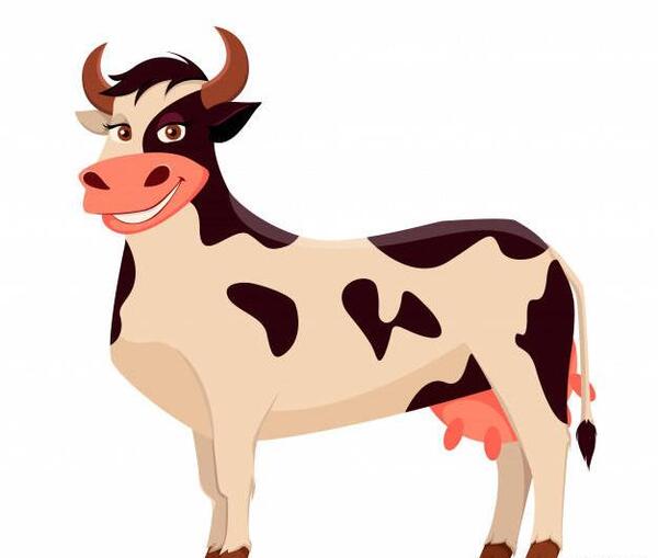 عکس گاو کارتون