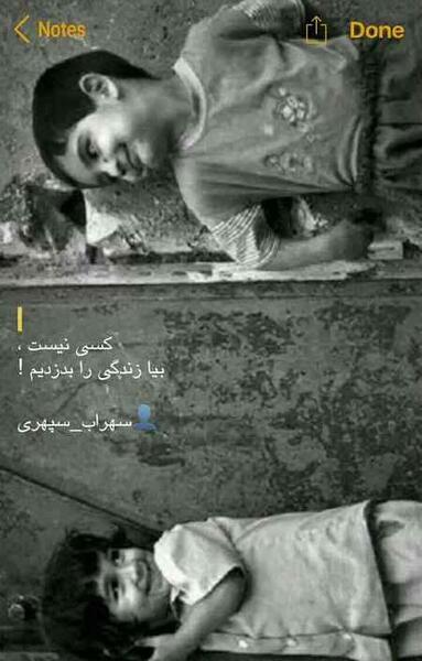 عکس باحال شاخ