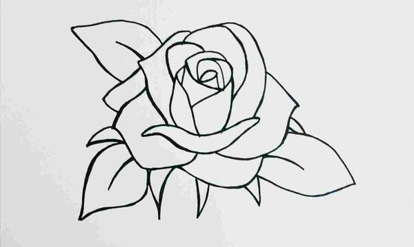 عکس گل ساده سیاه و سفید