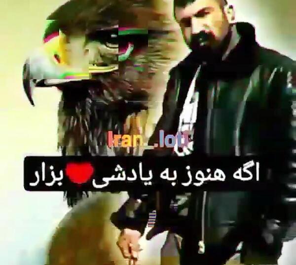 عکس عقاب ایرانی