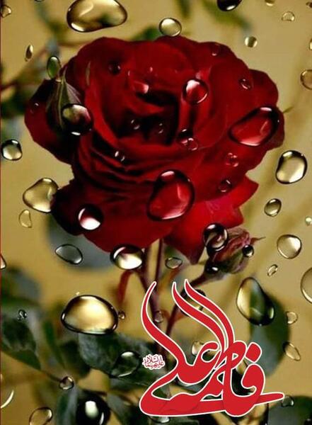عکس سالگرد ازدواج حضرت علی و زهرا