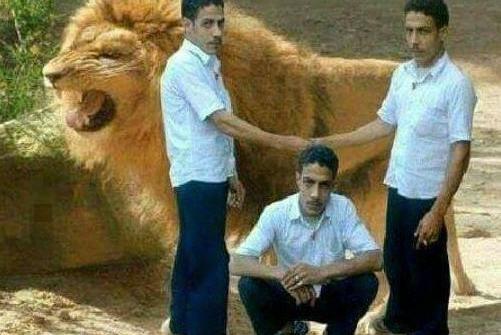 عکس باحال لایک خور