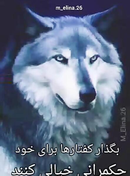 عکس گنگ گرگ