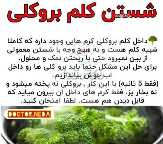 عکس کرم کلم بروکلی