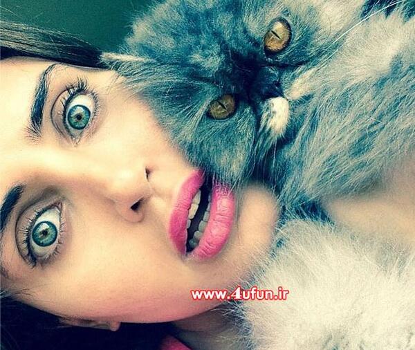 عکس گربه اخمو برای پروفایل
