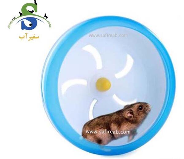 عکس چرخ همستر