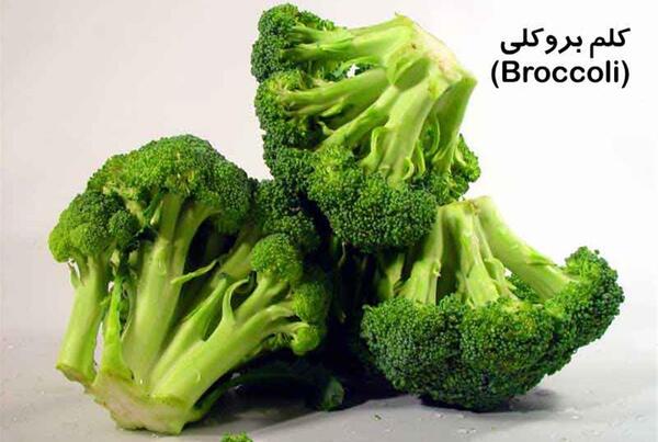 عکس میوه کلم بروکلی