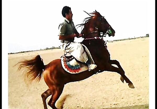 عکس اسب طوفان کبیر