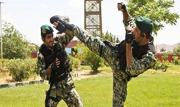 عکس ارتش زرد