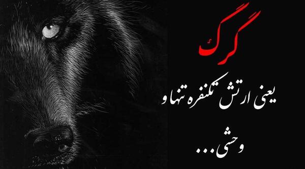عکس نوشته ارتش یک نفره