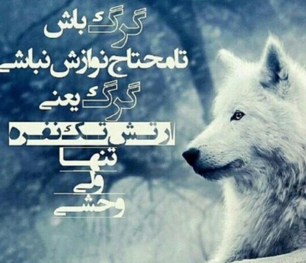 عکس ارتش تک نفره