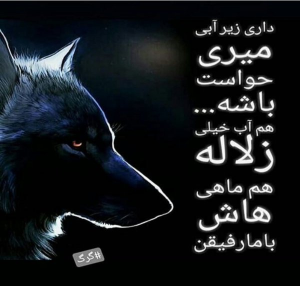 عکس ارتش تک نفره