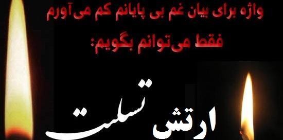 عکس نوشته شهدای ارتش