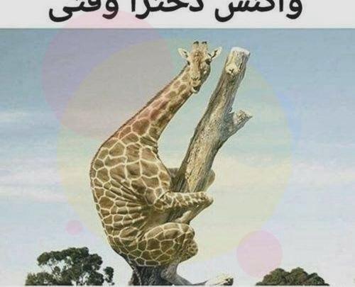 عکس نوشته های جالب بی تی اس