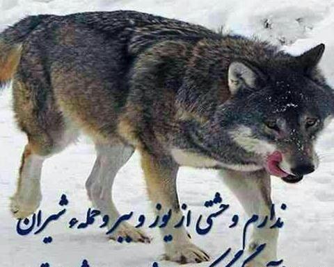 عکس نوشته ارتش تک نفره