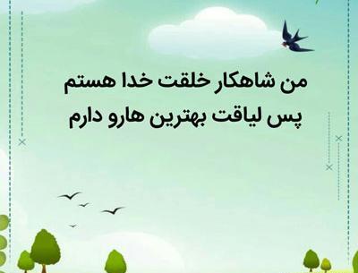 عکس نوشته من لیاقت بهترینها را دارم