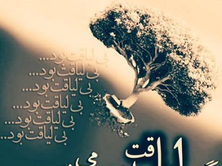 عکس نوشته لیاقت منو نداشت