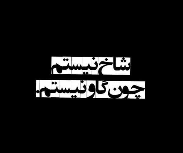 عکس نوشته تیکه شاخ