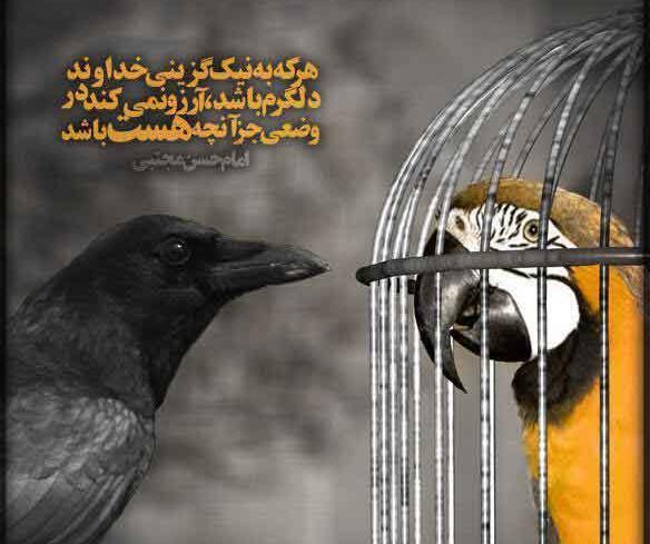 عکس نوشته هرچه از دوست رسد نیکوست