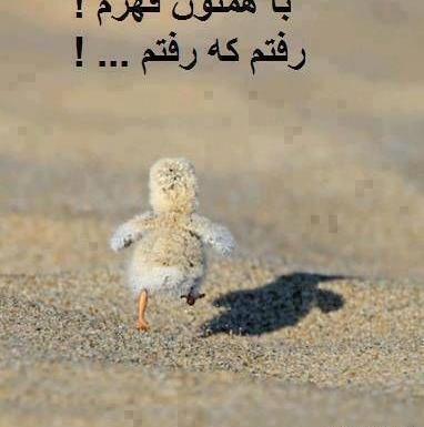 عکس نوشته قهرم
