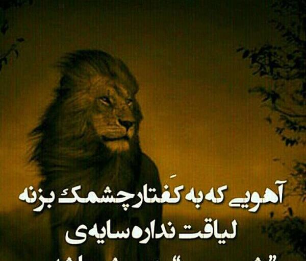 عکس نوشته لیاقت منو نداری