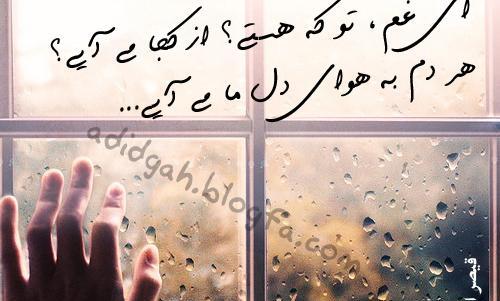 عکس نوشته دوست ترت دارم از هرچه دوست