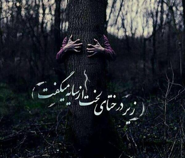عکس نوشته تیکه کلفت جدید