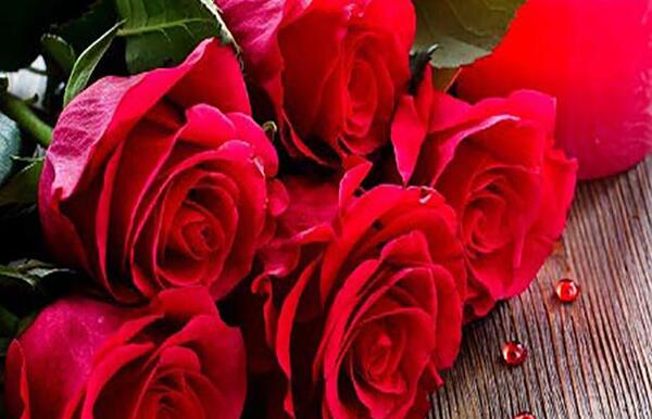 عکس نوشته دوستت دارم به زبان کردی