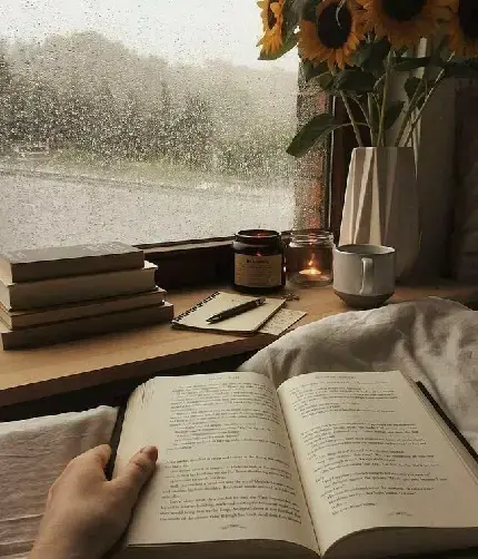عکس گل لای کتاب برای پروفایل