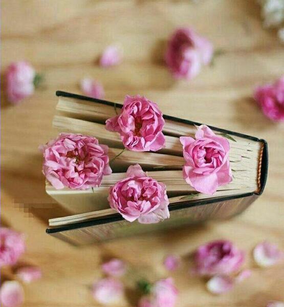 عکس گل لای کتاب برای پروفایل