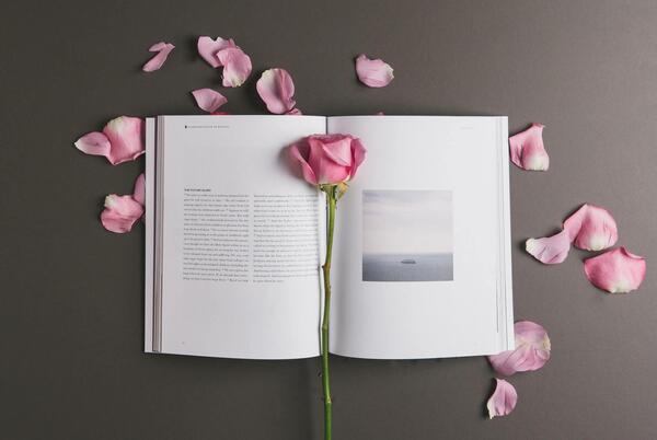 عکس گل لای کتاب برای پروفایل
