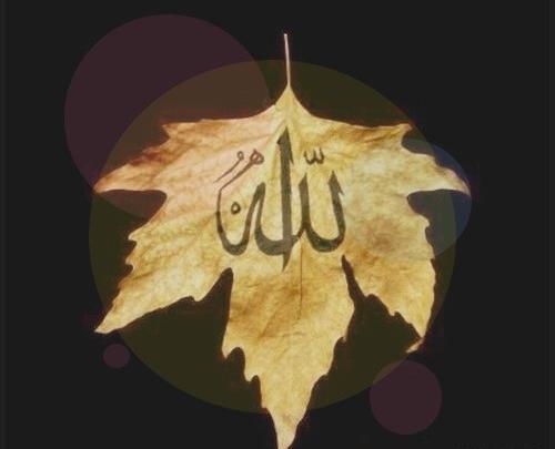 عکس پروفایل مذهبی الله