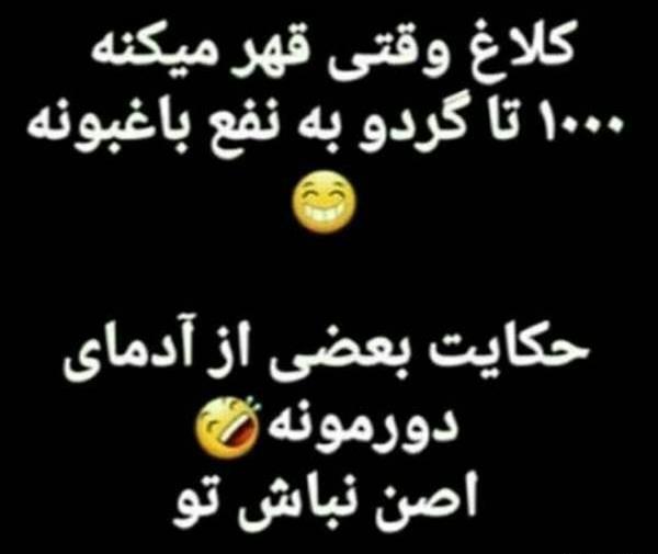عکس نوشته ی کلاغ وقتی قهر میکنه