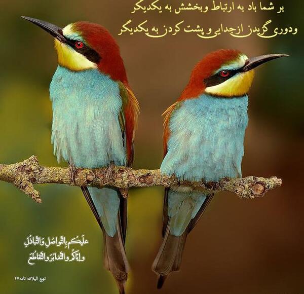 عکس نوشته حدیث قهر