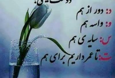 عکس نوشته دوست آن باشد که گیرد دست دوست