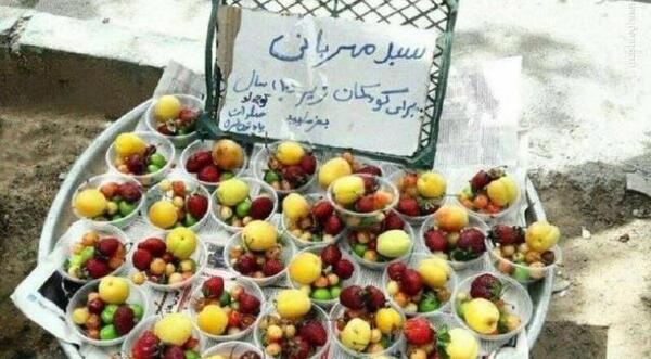 عکس فسیل میوه