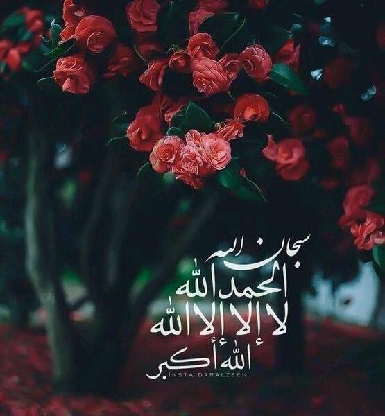 عکس پروفایل مذهبی زنانه