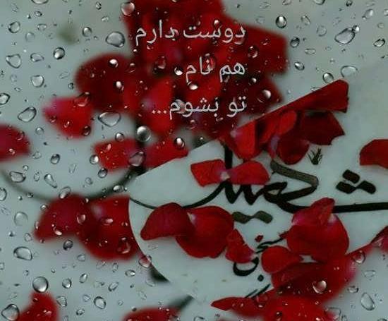 عکس نوشته دوست شهیدم