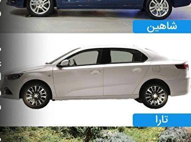 عکس تارا و دنا