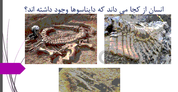 عکس فسیل علوم پنجم