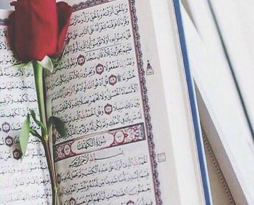 عکس پروفایل مذهبی قران و گل