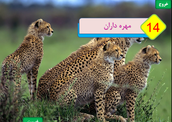 عکس کتاب علوم نهم برای پروفایل